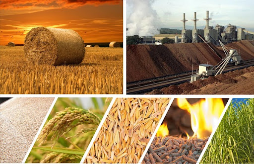 The role of cooperative connection in rural energy sustainability